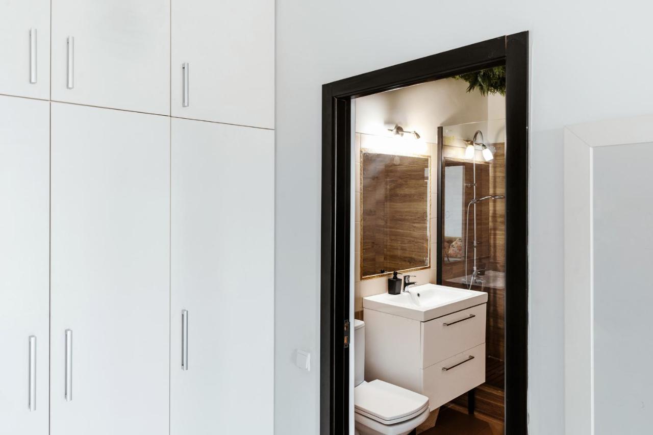 Dd Iulius Mall Modern Apartment 克卢日-纳波卡 外观 照片