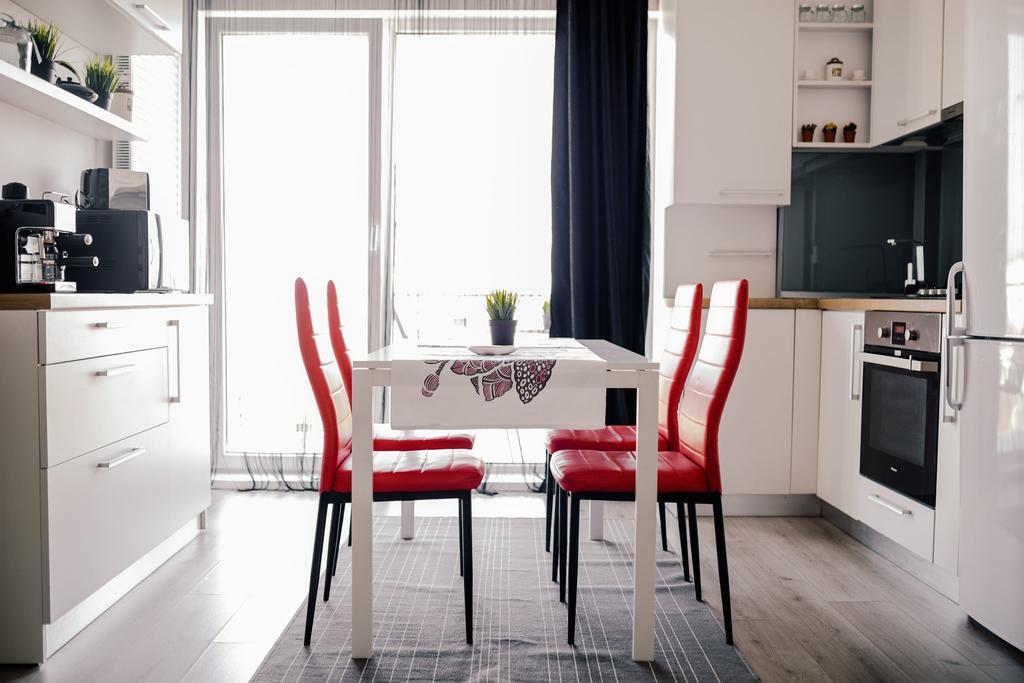 Dd Iulius Mall Modern Apartment 克卢日-纳波卡 外观 照片